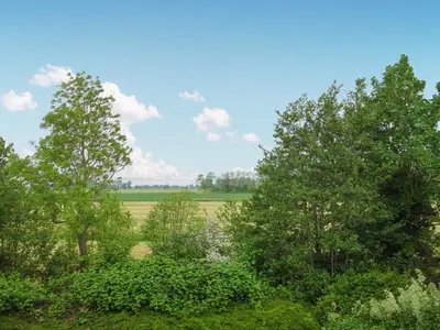outside
