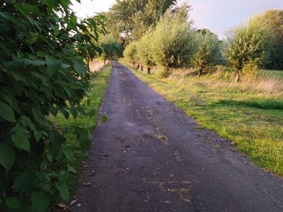 Ferienwohnung für 5 Personen (110 m²) in Ovelgönne 5/10