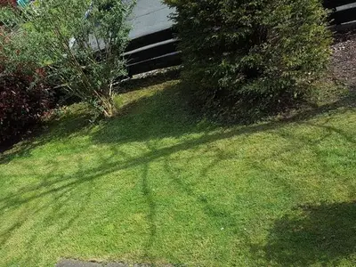 Ferienwohnung für 5 Personen (50 m²) in Overath 3/10