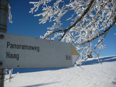 Auch im Winter: Panoramaweg