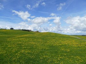 23570797-Ferienwohnung-3-Oy-Mittelberg-300x225-4