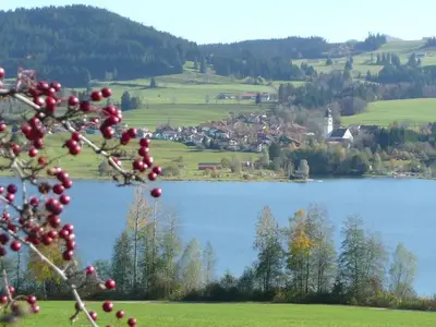 Ferienwohnung für 4 Personen (42 m²) in Oy-Mittelberg 5/10