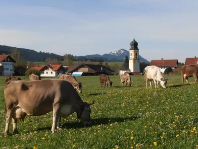 Ferienwohnung für 4 Personen (42 m²) in Oy-Mittelberg 7/10