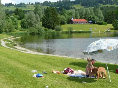Ferienwohnung für 4 Personen (42 m²) in Oy-Mittelberg 8/10