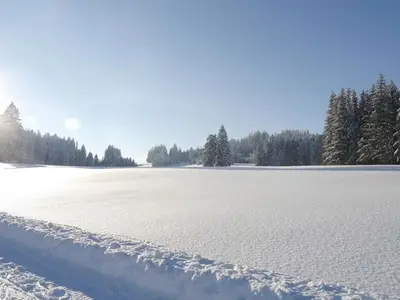 Ferienwohnung für 3 Personen (35 m²) in Oy-Mittelberg 4/10