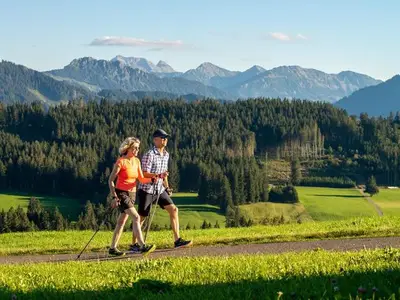 Ferienwohnung für 4 Personen (45 m²) in Oy-Mittelberg 5/10