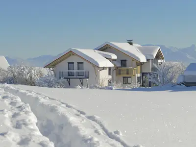 Winter 2