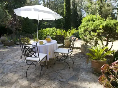 GardenSummer
