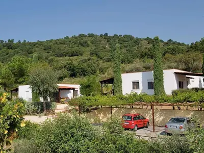 Ferienwohnung für 3 Personen (27 m²) in Palinuro 6/10