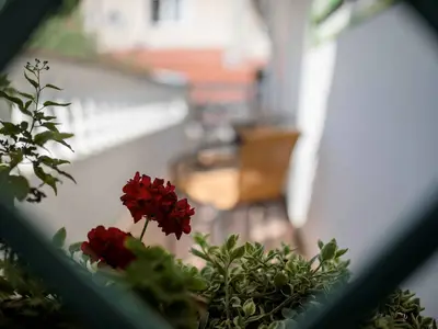 Ferienwohnung für 3 Personen (30 m²) in Palit 5/10