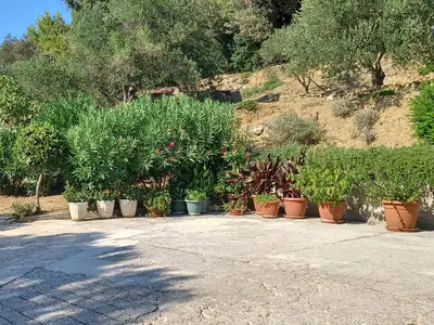 outside