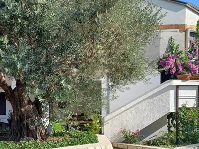 outside