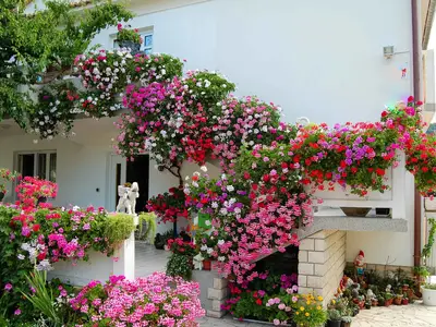 Ferienwohnung für 7 Personen (100 m²) in Palit 2/10