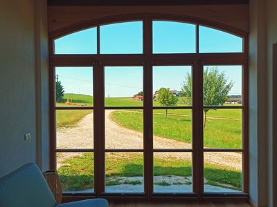 Blick in den Garten