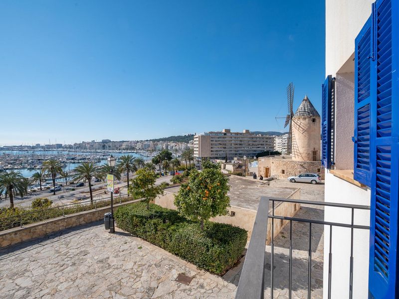 23573036-Ferienwohnung-2-Palma de Mallorca-800x600-1