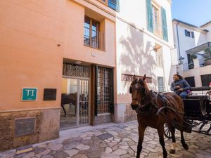 22303273-Ferienwohnung-2-Palma de Mallorca-300x225-5