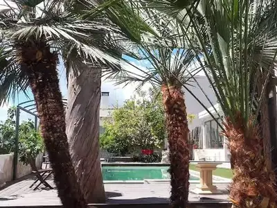 Ferienwohnung für 2 Personen (45 m²) in Cala Mayor 2/10