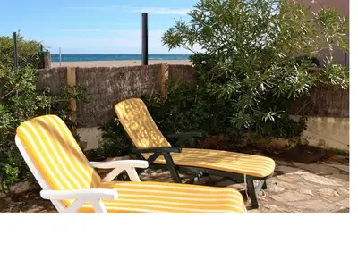ViewSummer