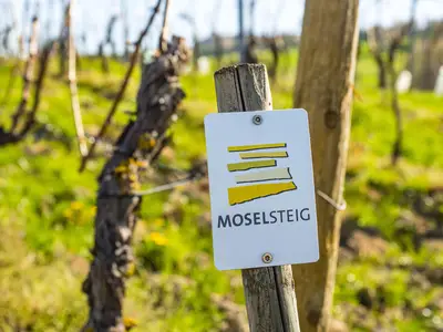 Auf dem Moselsteig