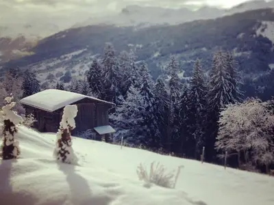 Ferienwohnung für 5 Personen in Pany 6/10