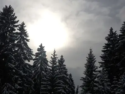 Ferienwohnung für 5 Personen in Pany 7/10