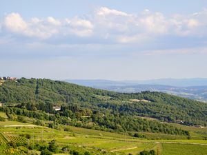 24008152-Ferienwohnung-3-Panzano in Chianti-300x225-2