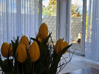Ferienwohnung für 3 Personen (80 m²) in Papenburg 5/10