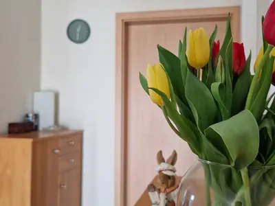 Ferienwohnung für 3 Personen (80 m²) in Papenburg 10/10