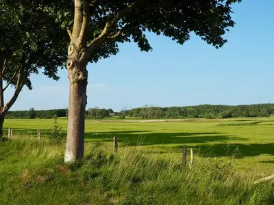 Ferienwohnung für 3 Personen (65 m²) in Parchtitz 3/10