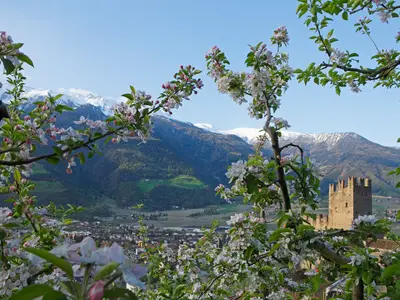 Ferienwohnung für 3 Personen (48 m²) in Partschins 10/10