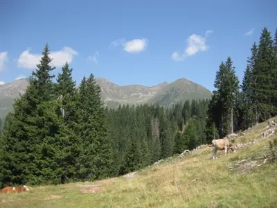 Ferienwohnung für 5 Personen (65 m²) in Partschins 10/10