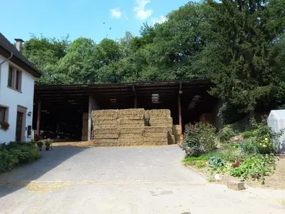 Eingangsbereich