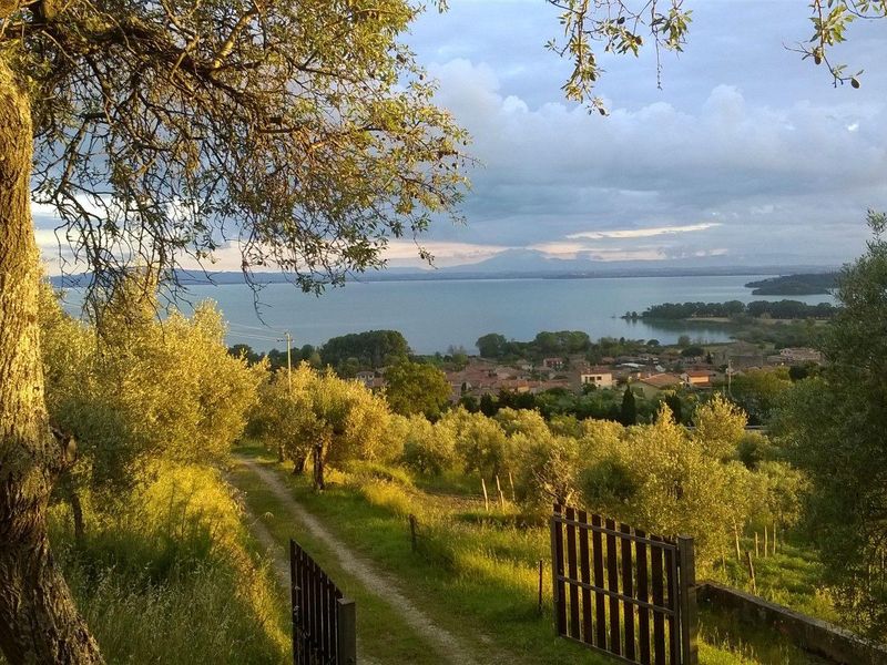 23046509-Ferienwohnung-5-Passignano Sul Trasimeno-800x600-1