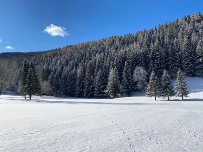 Umgebung in Winter