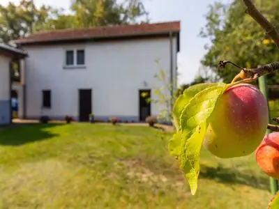 Ferienwohnung für 5 Personen (60 m²) in Patzig 5/10