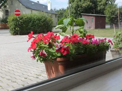 Ferienwohnung für 4 Personen in Pausa/Vogtland 3/7