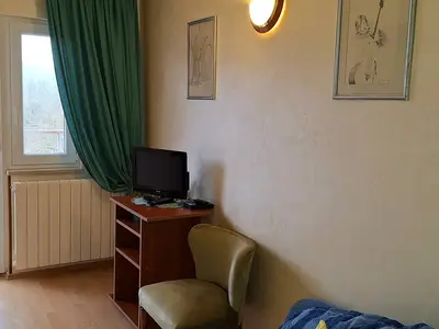 Ferienwohnung für 3 Personen (25 m²) in Pazin 6/10