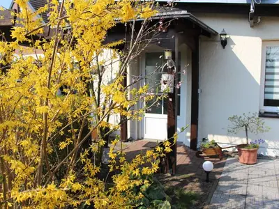 Ferienwohnung für 4 Personen (40 m²) in Peenemünde 3/10