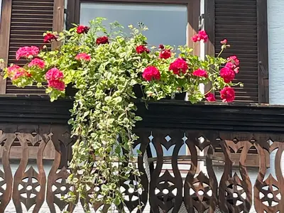 Ferienwohnung für 3 Personen (65 m²) in Peißenberg 2/10