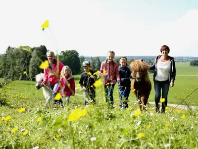Ponys von der Weide holen