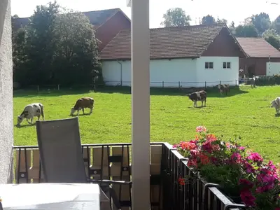 Ferienwohnung für 3 Personen (35 m²) in Peiting 8/10