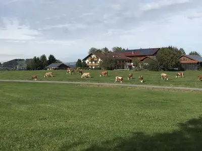 Ferienwohnung für 7 Personen (130 m²) in Peiting 4/10