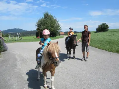 Ferienwohnung für 7 Personen (130 m²) in Peiting 5/10
