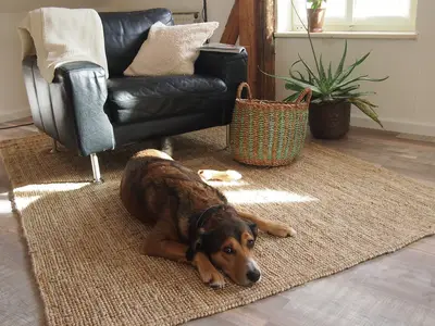 Ferienwohnung für 7 Personen (120 m²) in Peiting 7/10