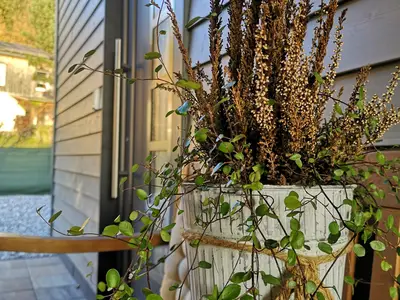 Ferienwohnung für 3 Personen (45 m²) in Peiting 5/10