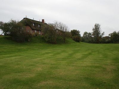 Garten mit Blick auf das Haus
