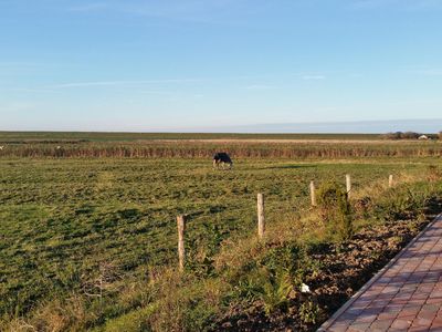 Terrasse. Blick zum Deich, Nov.`16 aufgenommen