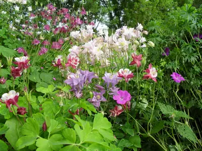 Ferienwohnung für 2 Personen (50 m²) in Pellworm 10/10