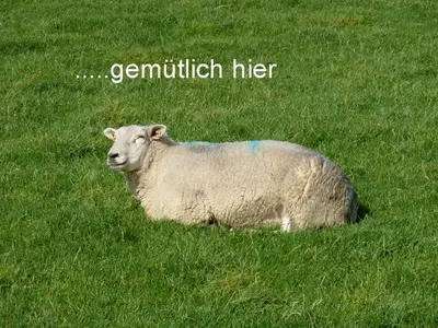 Ferienwohnung für 2 Personen (45 m²) in Pellworm 5/7