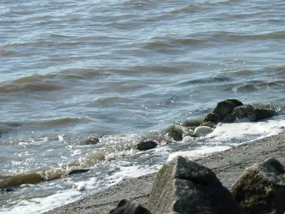 Ferienwohnung für 2 Personen (45 m²) in Pellworm 6/7